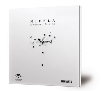 Niebla : noviembre 2015 - enero 2016 : Sala Santa Inés, Sevilla