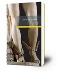 Archaeology Museum of Seville : Official guide Portada de: Archaeology Museum of Seville : Official guide