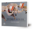 Pedro Soler. Huellas de color y barro. Museo de Almería