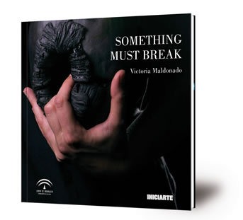 Something must break : septiembre - noviembre 2016 : Sala Santa Inés