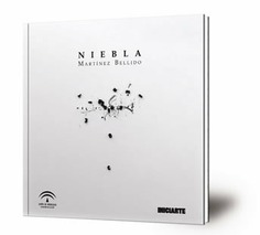 Niebla : noviembre 2015 - enero 2016 : Sala Santa Inés, Sevilla