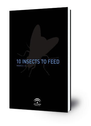 10 insects to feed/Mixed emotions : Exposición de trabajos del taller de videoarte impartido por Masbedo en Málaga en julio de 2006