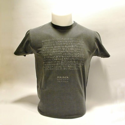 Camiseta de caballero "Lex Flavia" | 3XL | GRIS