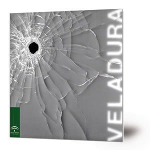 Veladura : [exposición] Monasterio de la Cartuja de Santa María de las Cuevas, Sevilla, 20 septiembre-19 noviembre 2000