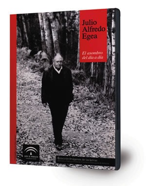 Julio Alfredo Egea [DVD-Vídeo]: el asombro del día a día