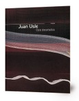 Juan Uslé: ojos desatados