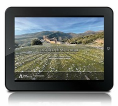 Castillo de Mata Bejid [PDF]: estudio diagnóstico e intervención arqueológica