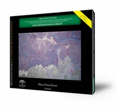 Obras para clavecín [CD-Audio]