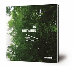 In Between : mayo - julio 2015 : Sala Santa Inés, Sevilla