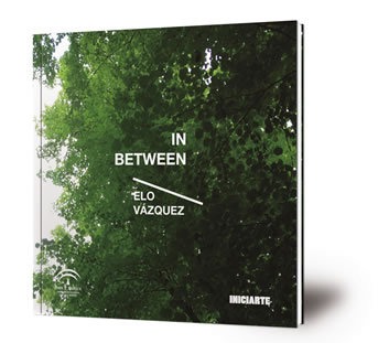 In Between : mayo - julio 2015 : Sala Santa Inés, Sevilla