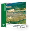 Itinerario por el mundo antiguo en Jaén : Cástulo-Bruñel. Cuaderno didáctico