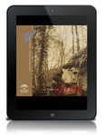 Desde mi celda [PDF]